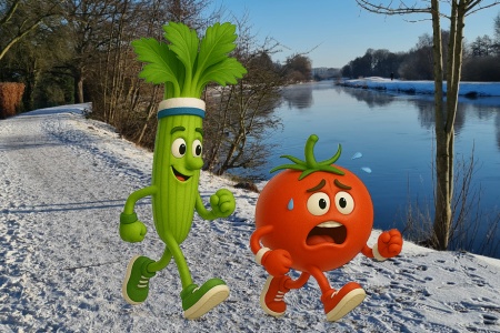 Frisch & fit ins neue Jahr