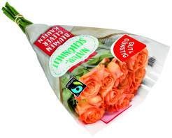  Gut&Günstig Moosrosen 