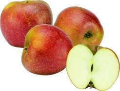 Deutschland Tafeläpfel Boskop