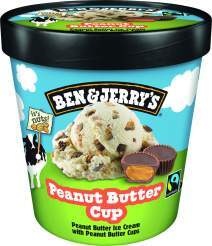  Ben&Jerry's Premium Ice Cream