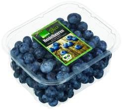 Argentinien Bio Heidelbeeren 