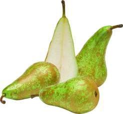 Niederlande Tafelbirnen Conference