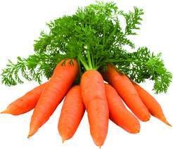 Deutschland Bundmöhren 