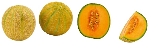 Brasilien Cantaloupe-Melone 