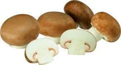 Deutschland Champignons braun