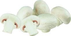 Polen Champignons weiß 