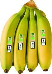 Ecuador WWF Bio Bananen 