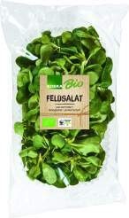 Italien Bio Rucola oder Feldsalat 