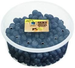 Deutschland/Niedersachsen Heimatliebe Kultur-Heidelbeeren 