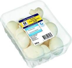 Deutschland/Niedersachsen Kultur-Champignons weiß oder braun