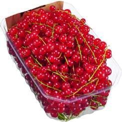 Deutschland  Johannisbeeren rot
