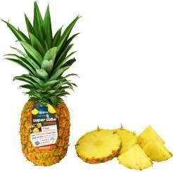 Costa Rica Herzstücke Ananas 