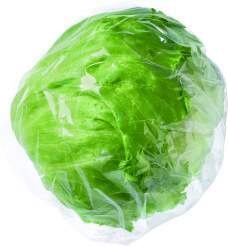 Spanien Eisbergsalat 