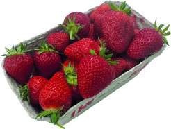 Deutschland Erdbeeren  