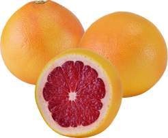 Südafrika Grapefruit  