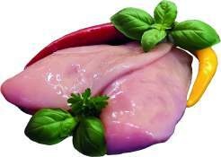  Hähnchenbrust-Filet  frisch