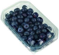 Spanien Kultur-Heidelbeeren 