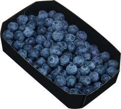 Deutschland Heidelbeeren 