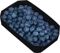 Deutschland  Heidelbeeren 