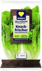 Spanien Herzstücke Mini Romanasalat 