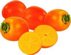 Spanien Kaki  Rojo Brillante