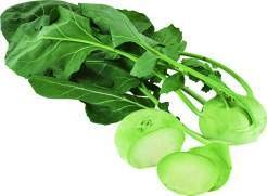 Italien/Spanien Kohlrabi 