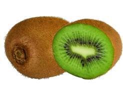 Italien Kiwi  grün