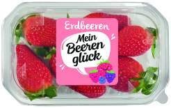 Griechenland Erdbeeren 