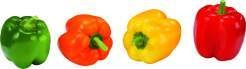 Deutschland Paprika