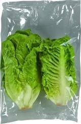 Deutschland/Spanien Mini Romanasalat 