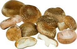Polen Shiitake-Pilze 