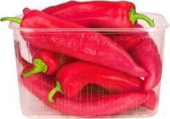 Marokko Spitzpaprika rot