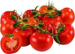 Niederlande/Deutschland Strauchtomaten 